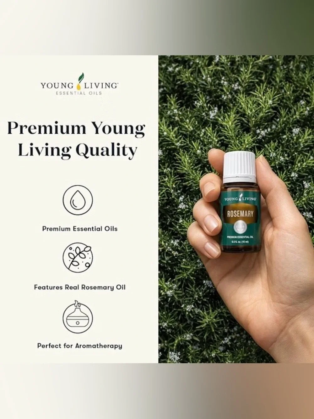 Young Living Rosemary Essential Oil 15 ml- BRAND NEW UNOPENED SEALED